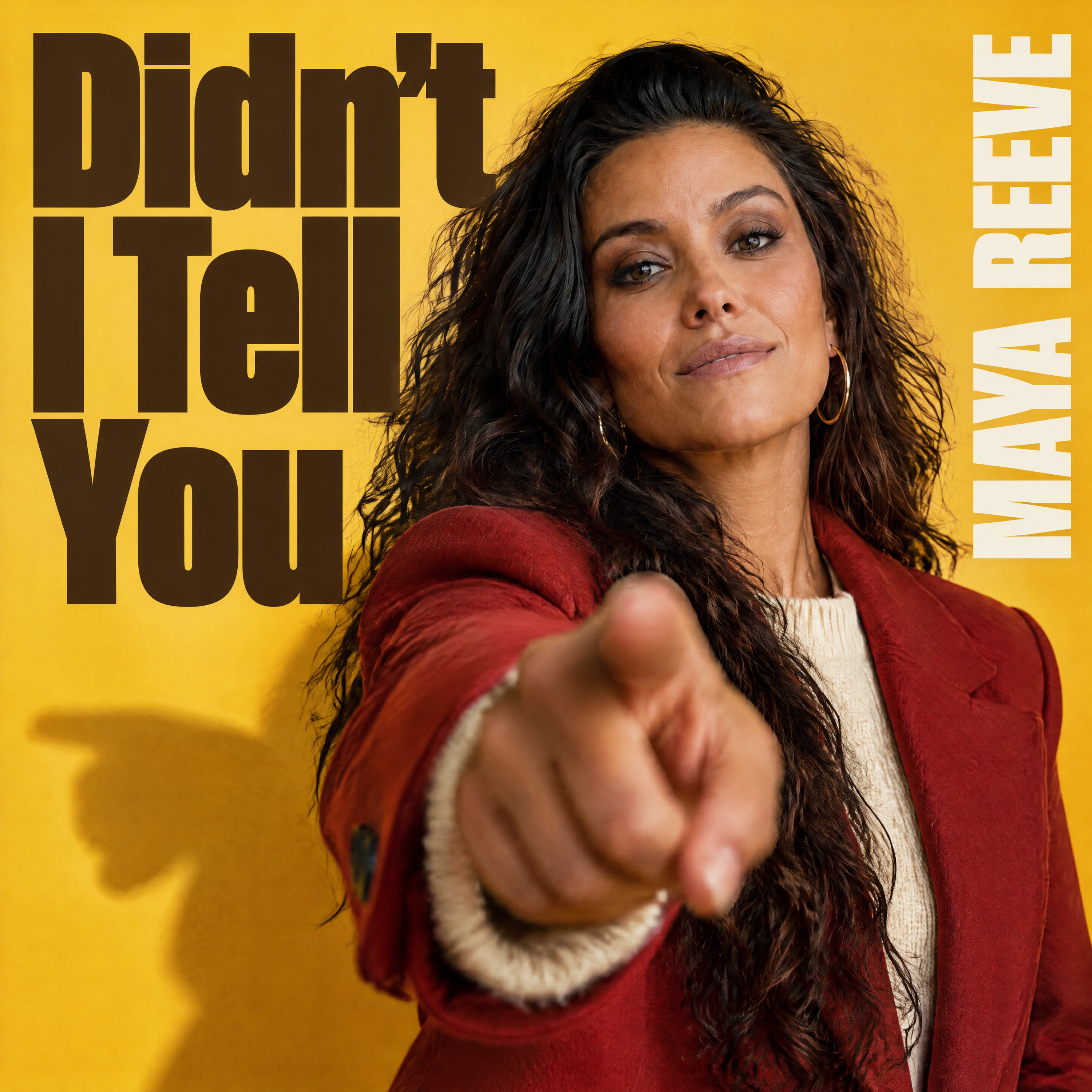 Didn't I Tell You cover art